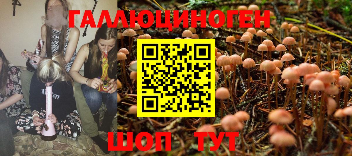 Псилоцибиновые грибы ЛСД Тихорецк